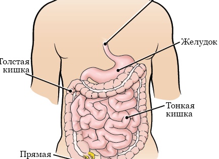 Последний путь близкого человека: подробное руководство по организации похорон из дома